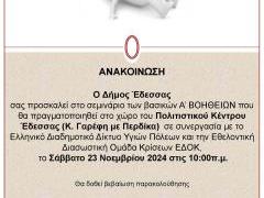 a_voitheies-anakoinosi.jpg