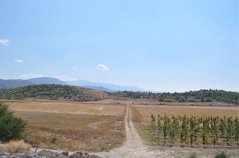 kamposarnisssa.jpg